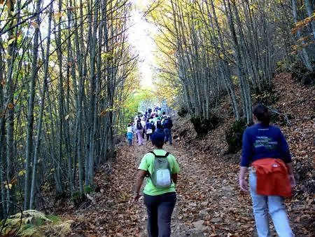 Nyaraló Casa Da Neta Açor