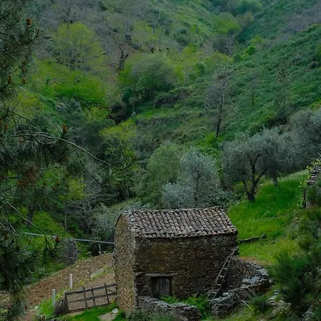 Casa Da Neta * Acor (Fundao)